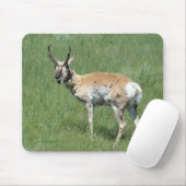 Gabelbockbock Mousepad (Mit Mouse)