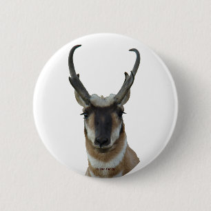 Gabelbockkopf A9 Button
