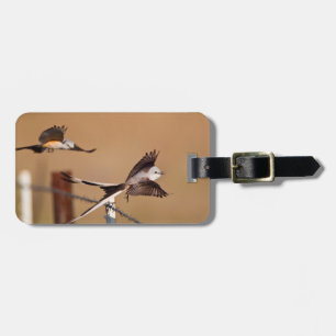 Gabelschwanz-Königstyrann (Tyrannus Forficatus) Gepäckanhänger