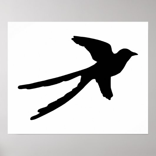 Gabelschwanzschnäpper Poster (Vorne)