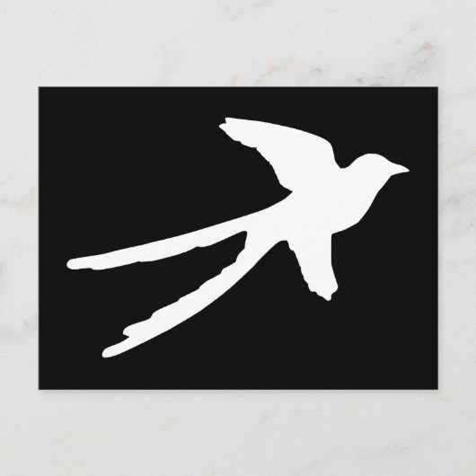Gabelschwanzschnäpper Postkarte (Vorderseite)