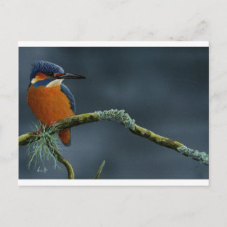 Gaben von Kingfisher Postkarte