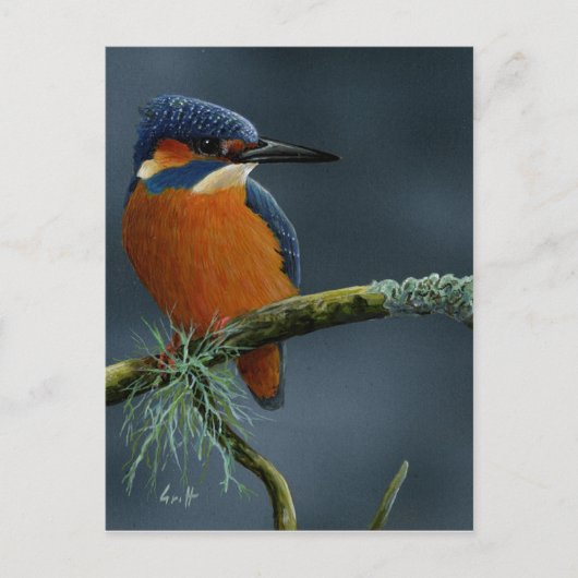 Gaben von Kingfisher Postkarte (Vorderseite)