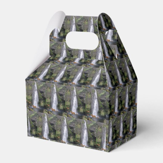 Gable Favor Box Geschenkschachtel (Vorderseite)