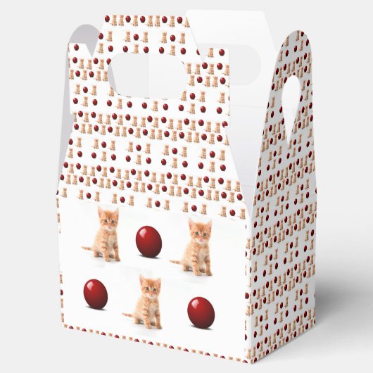 Gable Favor Box Geschenkschachtel (Geöffnet)