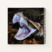 Gabon Viper Notizblock (Rückseite)