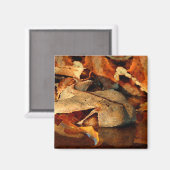 Gaboon Viper Magnet (Vorderseite/Rückseite)