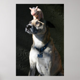 Gabriel bestellte Speck zum Frühstück Poster