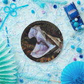 Gabun-Viper Pappteller (Party)