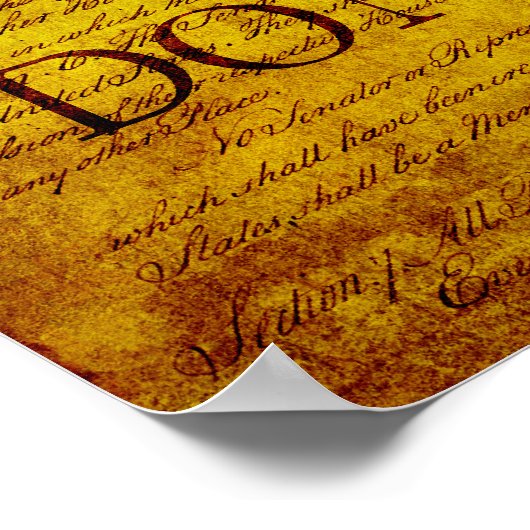 Gadsden Flag Poster (Ecke)