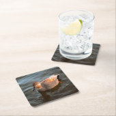 Gadwall Duck Drake am See Rechteckiger Pappuntersetzer (Vor Ort)