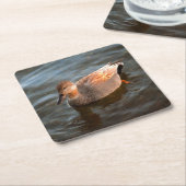 Gadwall Duck Drake am See Rechteckiger Pappuntersetzer (angewinkelt)