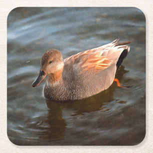 Gadwall Duck Drake am See Rechteckiger Pappuntersetzer