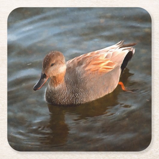Gadwall Duck Drake am See Rechteckiger Pappuntersetzer (Vorderseite)