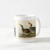 Gadwall Duck - John Audubons Vögel in Amerika Kaffeetasse (VorderseiteRechts)
