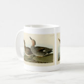 Gadwall Duck - John Audubons Vögel in Amerika Kaffeetasse (Vorderseite Links)
