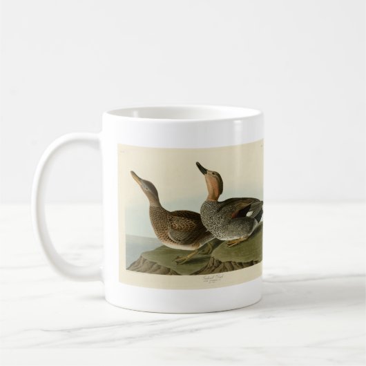 Gadwall Duck - John Audubons Vögel in Amerika Kaffeetasse (Links)
