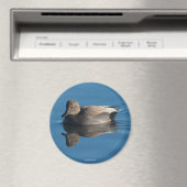 Gadwall Magnet (In Situ (Geschirrspüler))