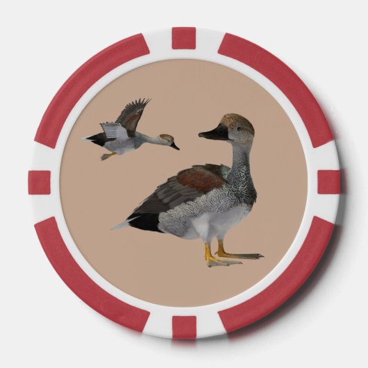 Gadwall Poker Chips (Vorderseite)