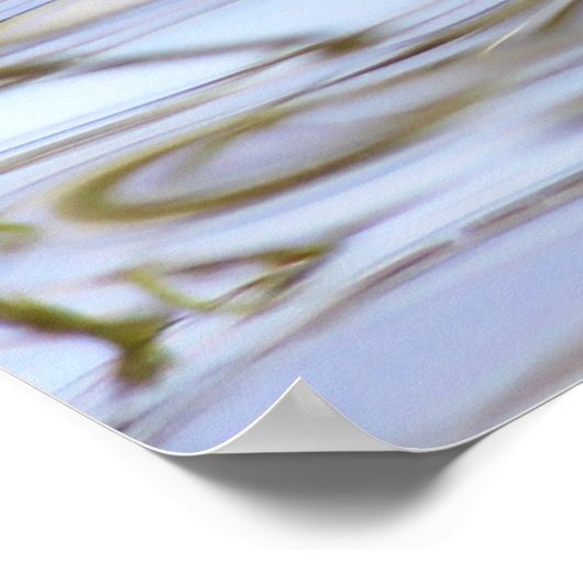 Gadwell Duck Poster (Ecke)