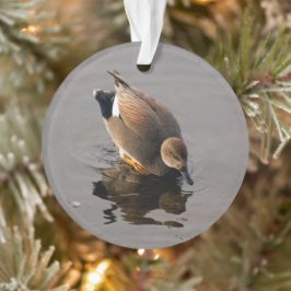 Gadwell Duck und Reflektion Weihnachten zweiseitig Ornament