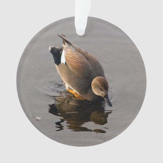 Gadwell Duck und Reflektion Weihnachten zweiseitig Ornament (Vorderseite)