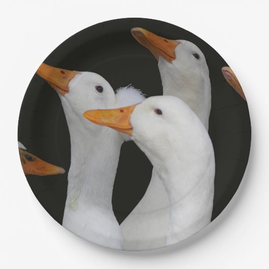Gaggle der weißen Enten Pappteller (Vorderseite)