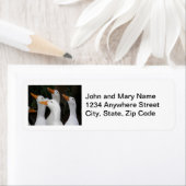 Gaggle der White Ducks Rücksendeadresse (Insitu)