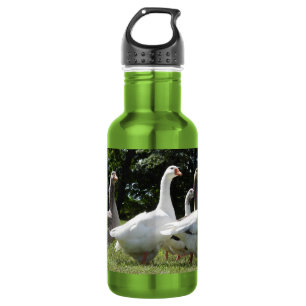 Gaggle domestizierter Gänse Edelstahlflasche