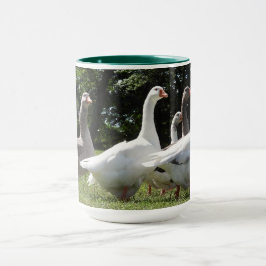 Gaggle domestizierter Gänse Tasse (Zentrum)