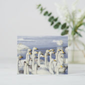 Gaggle Gese Postkarte (Stehend Vorderseite)