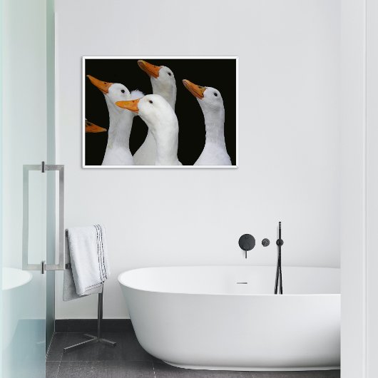 Gaggon der weißen Enten glänzend fotografisch Poster