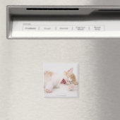 Gähnen Kätzchen auf weißem Hintergrund. Magnet (In Situ (Geschirrspüler))