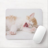 Gähnen Kätzchen auf weißem Hintergrund. Mousepad (Mit Mouse)