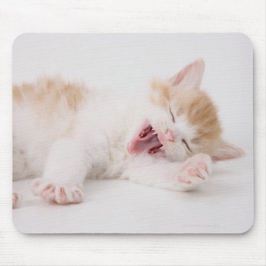 Gähnen Kätzchen auf weißem Hintergrund. Mousepad (Vorne)