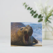 gähnen postkarte (Stehend Vorderseite)