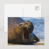 gähnen postkarte (Vorne/Hinten)
