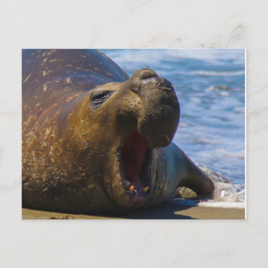 gähnen postkarte (Vorderseite)