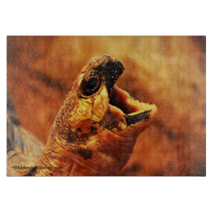 Gähnende ausgestrahlte Schildkröte Schneidebrett