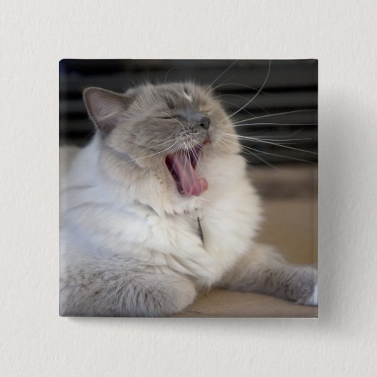 gähnende Neva Masquerade-Katze Button (Vorderseite)