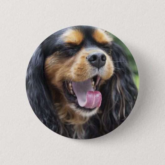 Gähnender Cavalier King Charles Spaniel Button (Vorderseite)