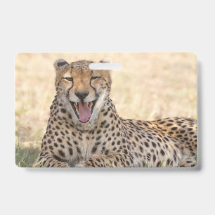 Gähnender Gepard Ausweis
