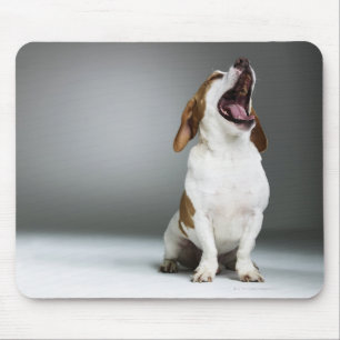 Gähnender Mischzuchthund, Nahaufnahme Mousepad