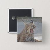 Gähnender Rotluchs Button (Vorne & Hinten)