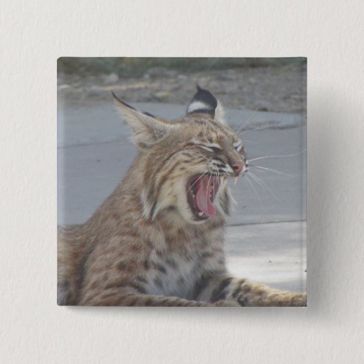 Gähnender Rotluchs Button (Vorderseite)