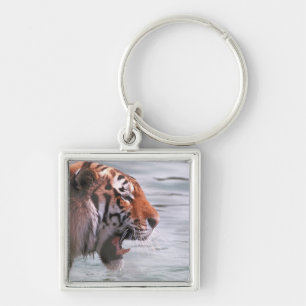Gähnender Tiger im Wasser Schlüsselanhänger