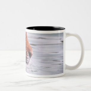 Gähnender Tiger im Wasser Zweifarbige Tasse