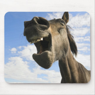 Gähnendes Pferd Mousepad