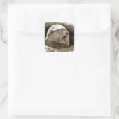 Gähnendes Waldmurmeltier mit Nachtmütze Quadratischer Aufkleber (Tasche)