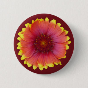 Gaillardia 1 button